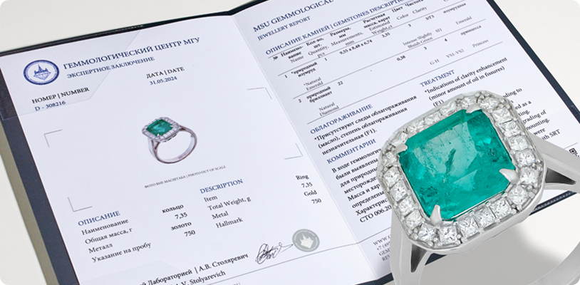 Экспертное заключение Гемцентра МГУ